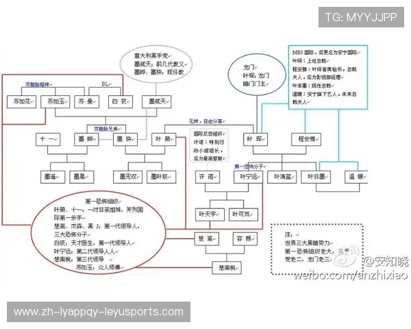 意甲球队关系表最新版本解析